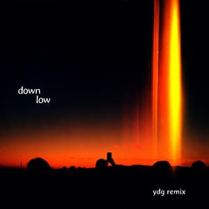 Down Low (YDG Remix) cover
