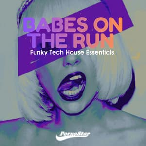 Babes on the Run Essentials cover