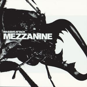 Mezzanine cover