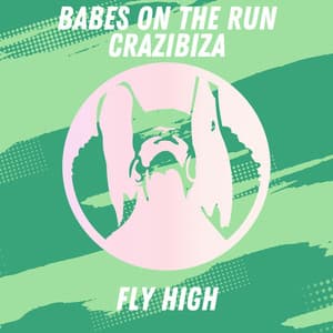 Fly High cover
